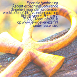 ascentiecoaching aanbieding 5